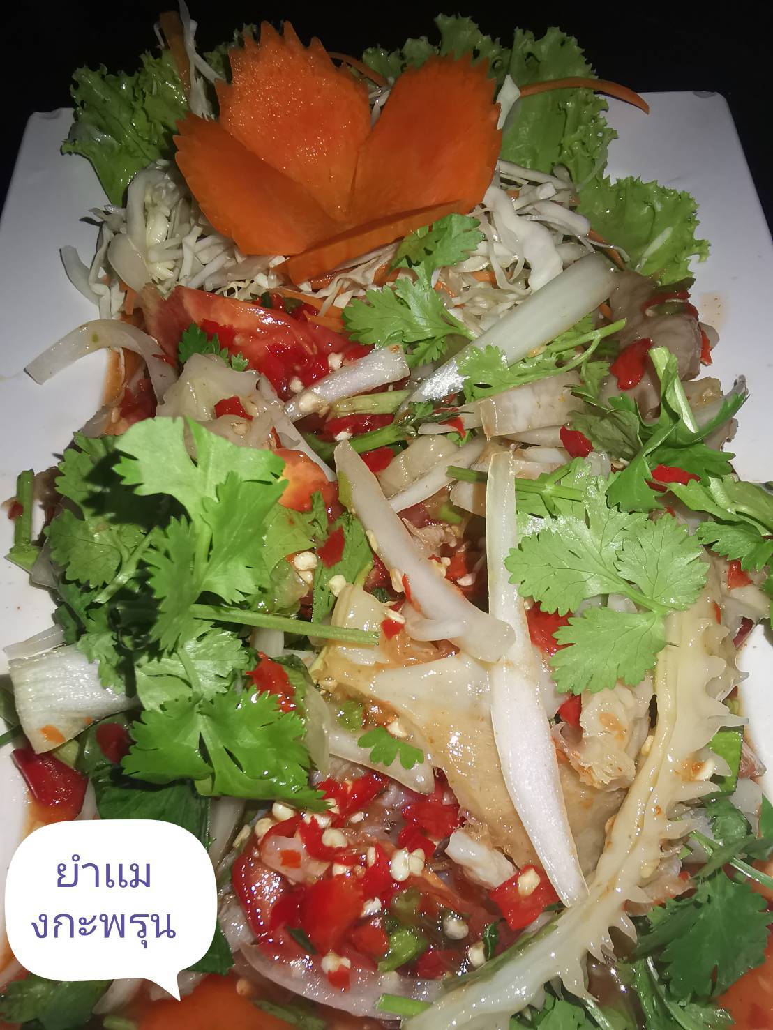 5102 ยำแมงกระพรุน