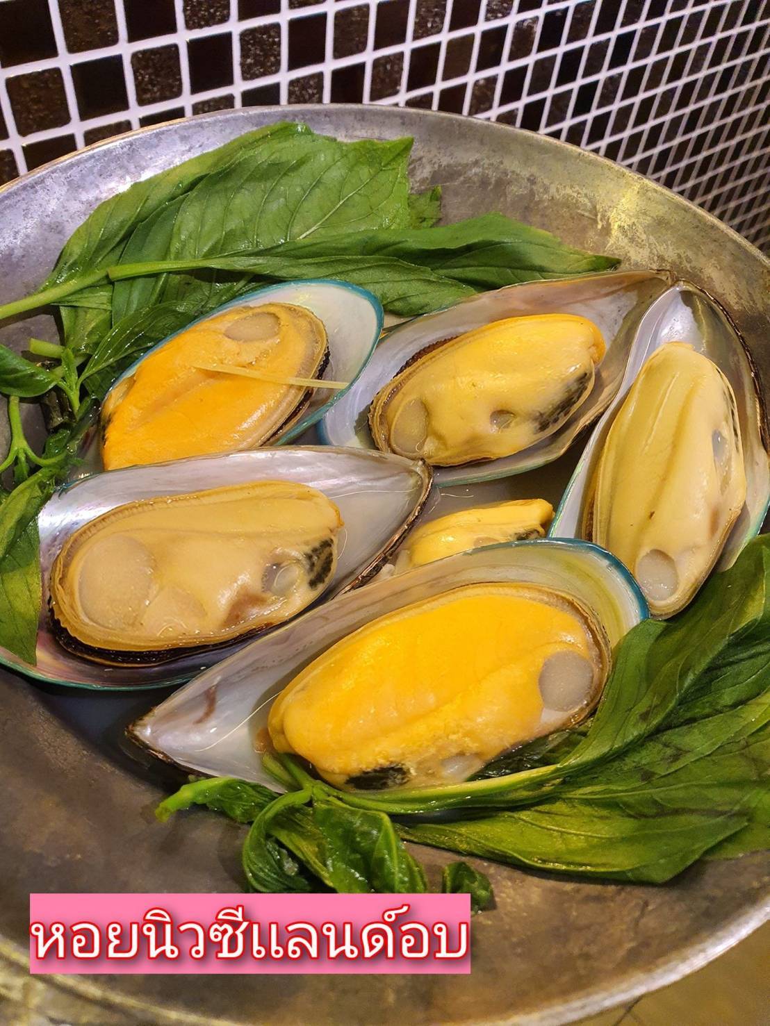 1123 หอยนิวซีแลนด์ อบ