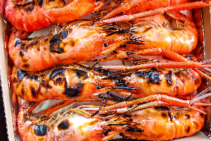 กุ้งผู้ จัมโบ้ 6-10 |โล (จองล่วงหน้า)
