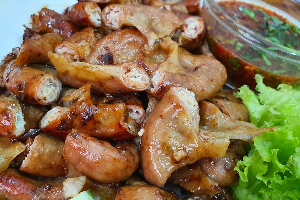 ไส้ย่าง