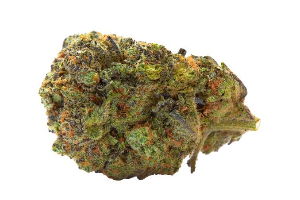 Gelato Runtz