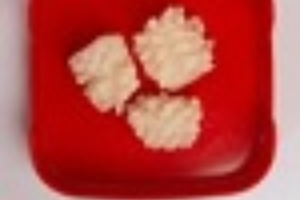 ปลาหมึกบังสับปะรด