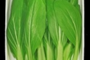 กวางตุ้งไต้หวัน