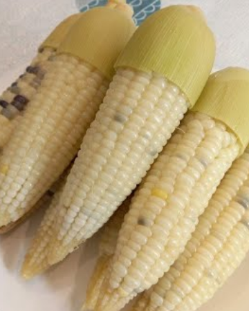 ข้าวโพดขาวต้ม