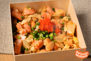 Salmon Nin Nin Niku Gohan