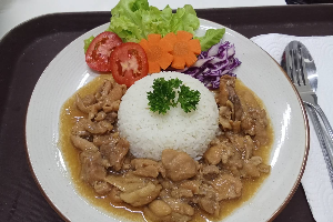 Teriyaki chicken with rice