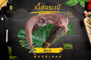 เนื้อจระเข้