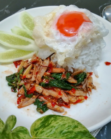 ข้าวกะเพราปู