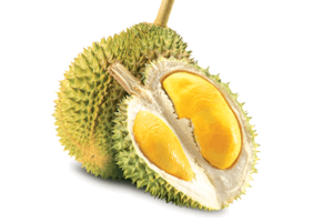 ทุเรียน