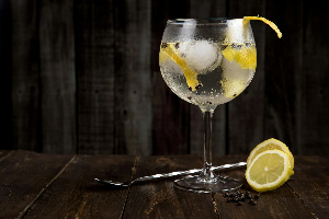 จินโทนิก | Gin Tonic