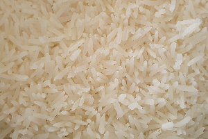 ข้าวหอมมะลิ