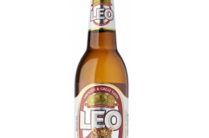 สัตว์ใหญ่กินเนื้อ(ลายจุด)