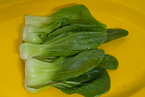 ผักกวางตุ้ง