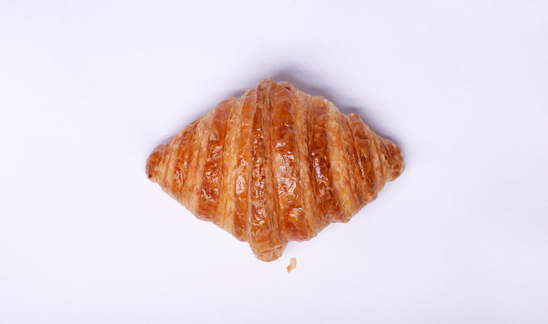Plant Croissant