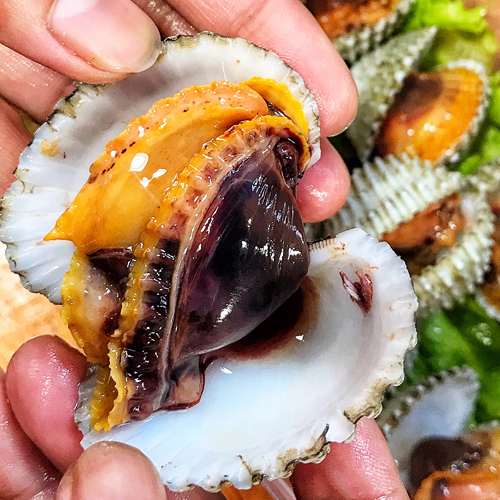 หอยแครง ลวก |ตัวใหญ่