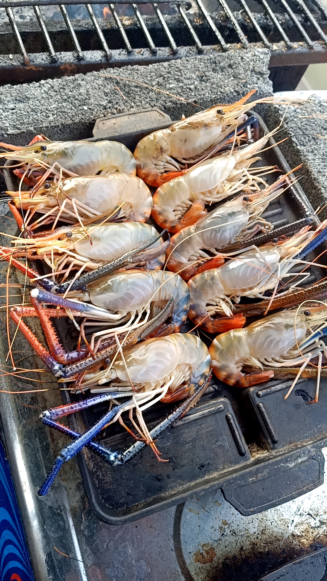 กุ้งแม่น้ำไซส์ใหญ่ 1 Kg.