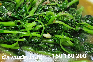 ผักโขมผัดน้ำมันหอย (Stir-Fried Amaranth with Oyster Sauce)