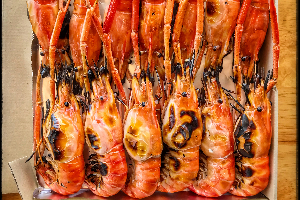 กุ้งผู้ หัวมันเยิ้ม (ก้ามทอง) /โล