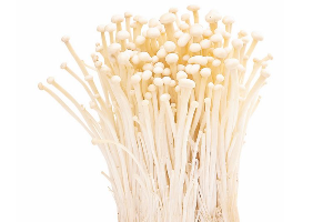 เห็ดเข็มทอง