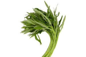 ผักบุ้ง