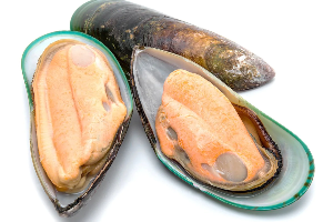 หอยเเมลงภู่ (Mussels)