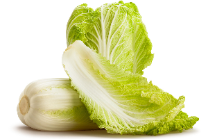 ผักกาดขาว (Chinese Cabbage)