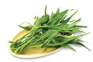 ผักบุ้ง (Ipomoea aquatica)