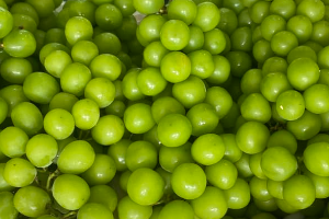 ไซมัสคัท