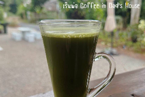 มัทฉะ Matcha