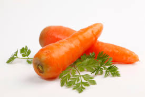 Carrot