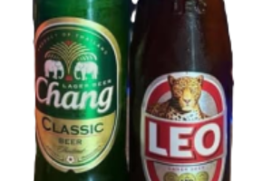 ช้าง,ลีโอ