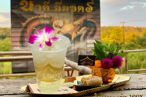 น้ำช่อดอกมะพร้าว 100% (Organic Coconut Flower Nectar)