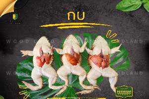 กบ สด แช่แข็ง