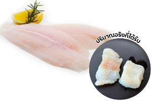 ปลาดอลลี่