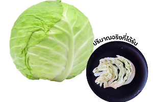 กะหล่ำปลี