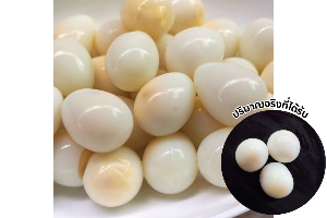 ไข่นกกระทา