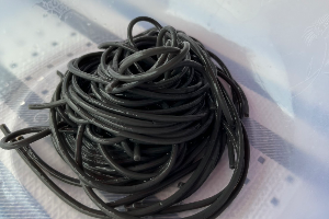 เส้นรากเฟริน