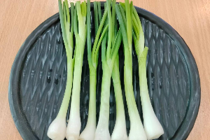 ต้นหอม