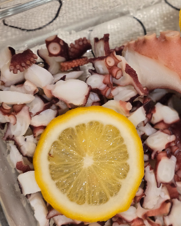 Octopus หนวดหมึกทาโกะ