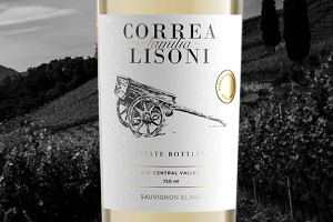 CORREA LISONI familia Sauvignon Blanc 2024