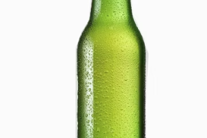 เบียช้าง