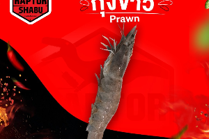 กุ้งขาว Prawn