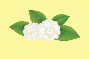  เค้กนมสดวานิลลาดอกมะลิ