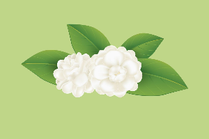 เค้กนมสดใบเตยดอกมะลิ