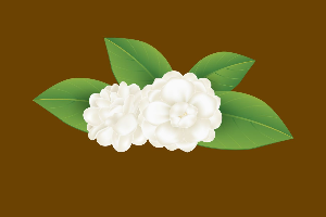 เค้กนมสดช็อกโกแลตดอกมะลิ