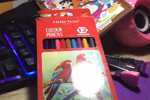 สีCOLOUR PENCILS