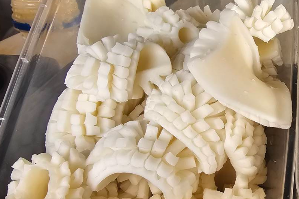 ดอกไม้ทะเล