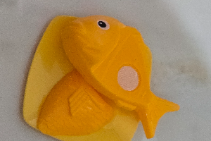 ปลาแซลม่อน