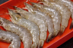 กุ้งสด 3 ตัว
