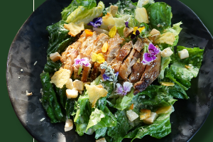 สลัดผักไก่ย่าง น้ำสลัดงา